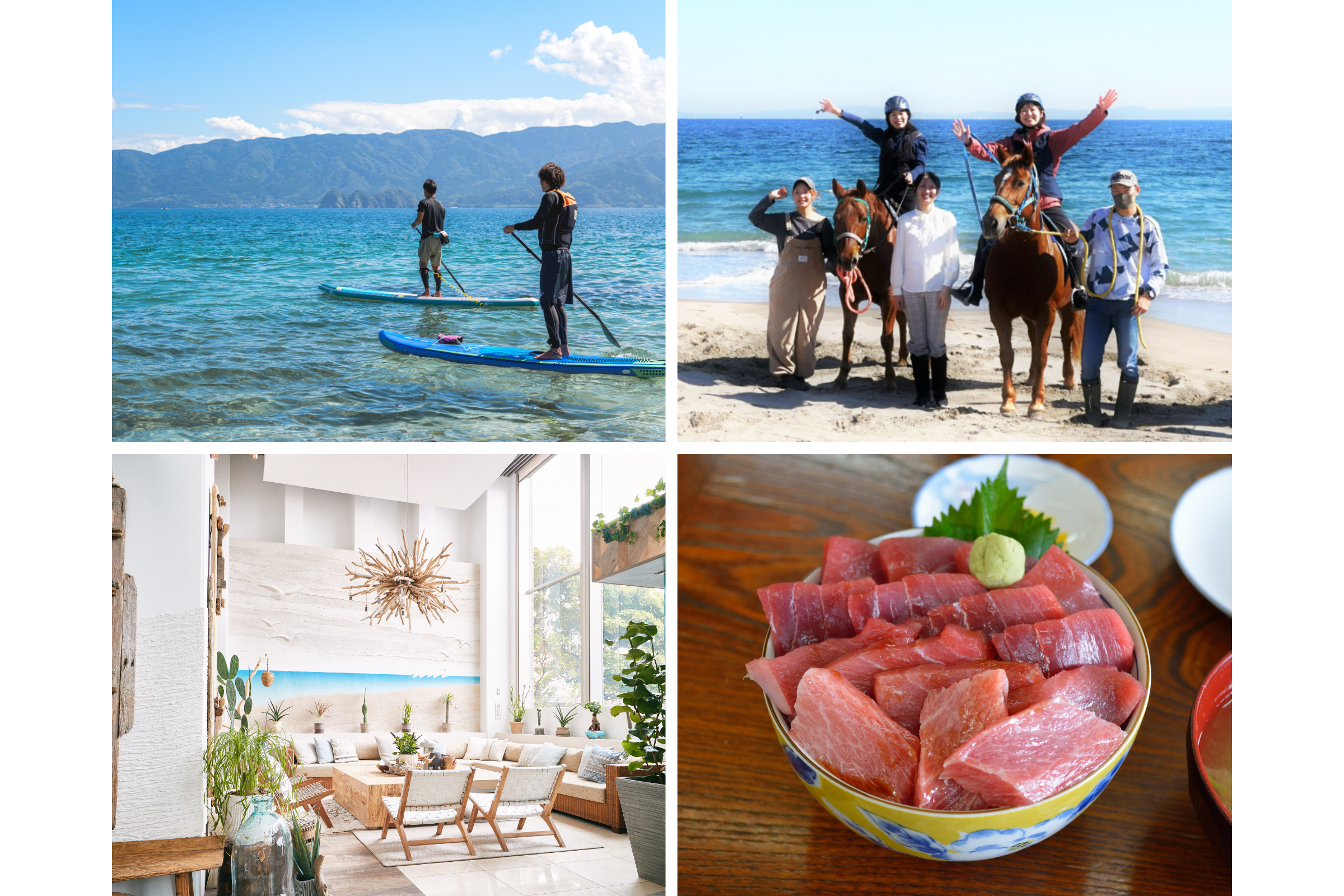 三浦半島 海遊び尽くし旅 〜マリンスポーツからまぐろグルメまで〜